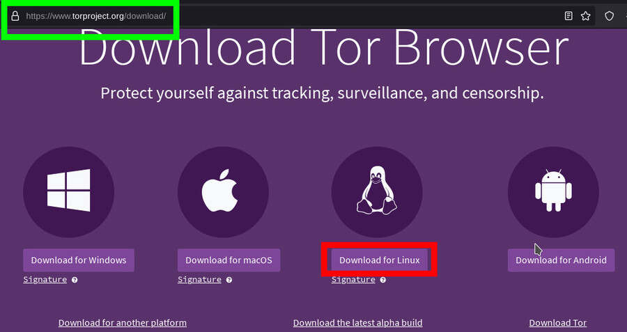 Tor Browser
homepage